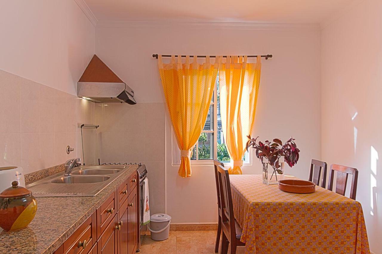 Casa Alto Santo Antonio Apartment Ponta do Sol  Ngoại thất bức ảnh